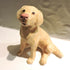 Ceramic Happy Golden Retriever Dog Sculpture