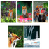Big and Glossy Follow the Fox A5 Greeting Card