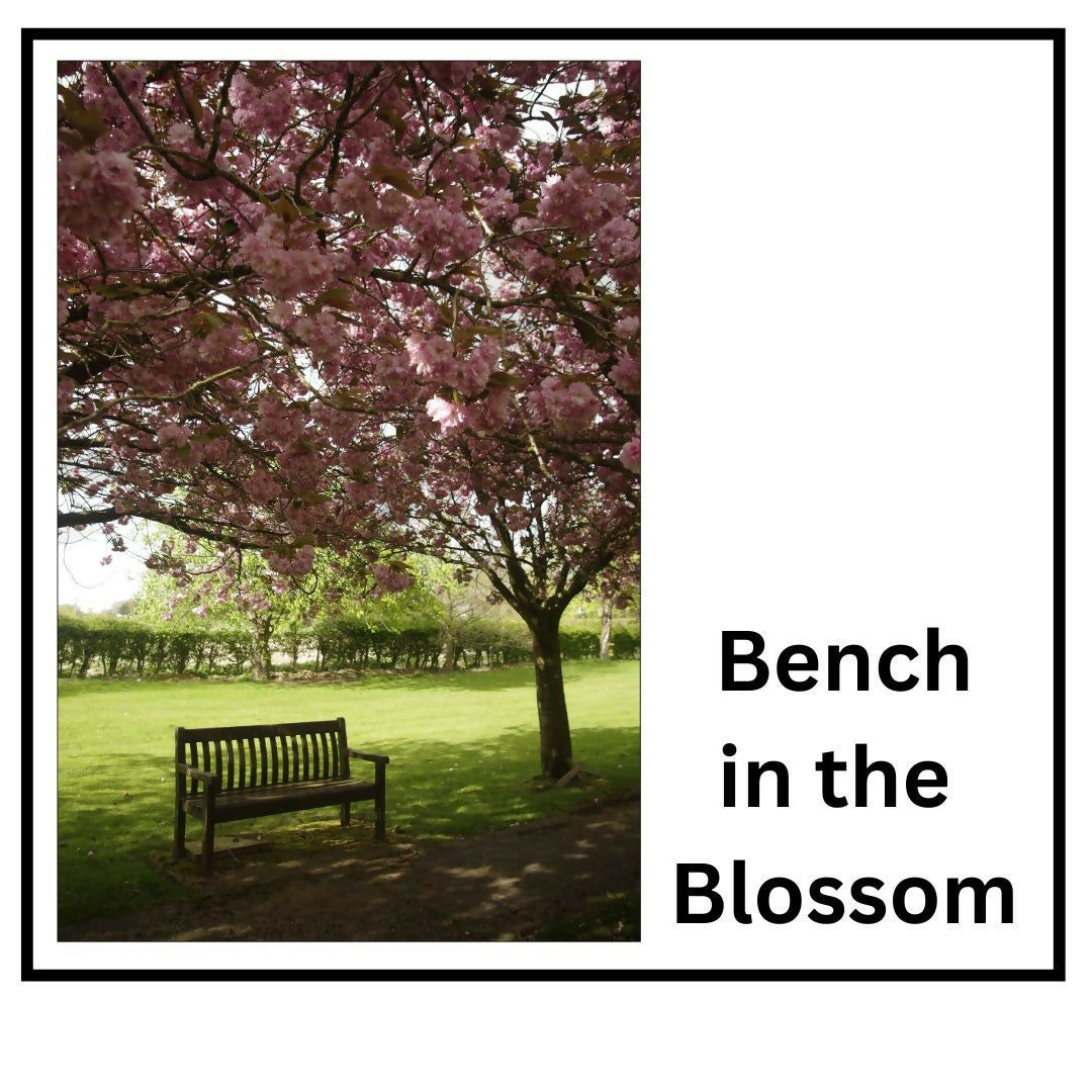 Bench In The Blossom (A4 Frame)