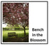 Bench In The Blossom (A4 Frame)