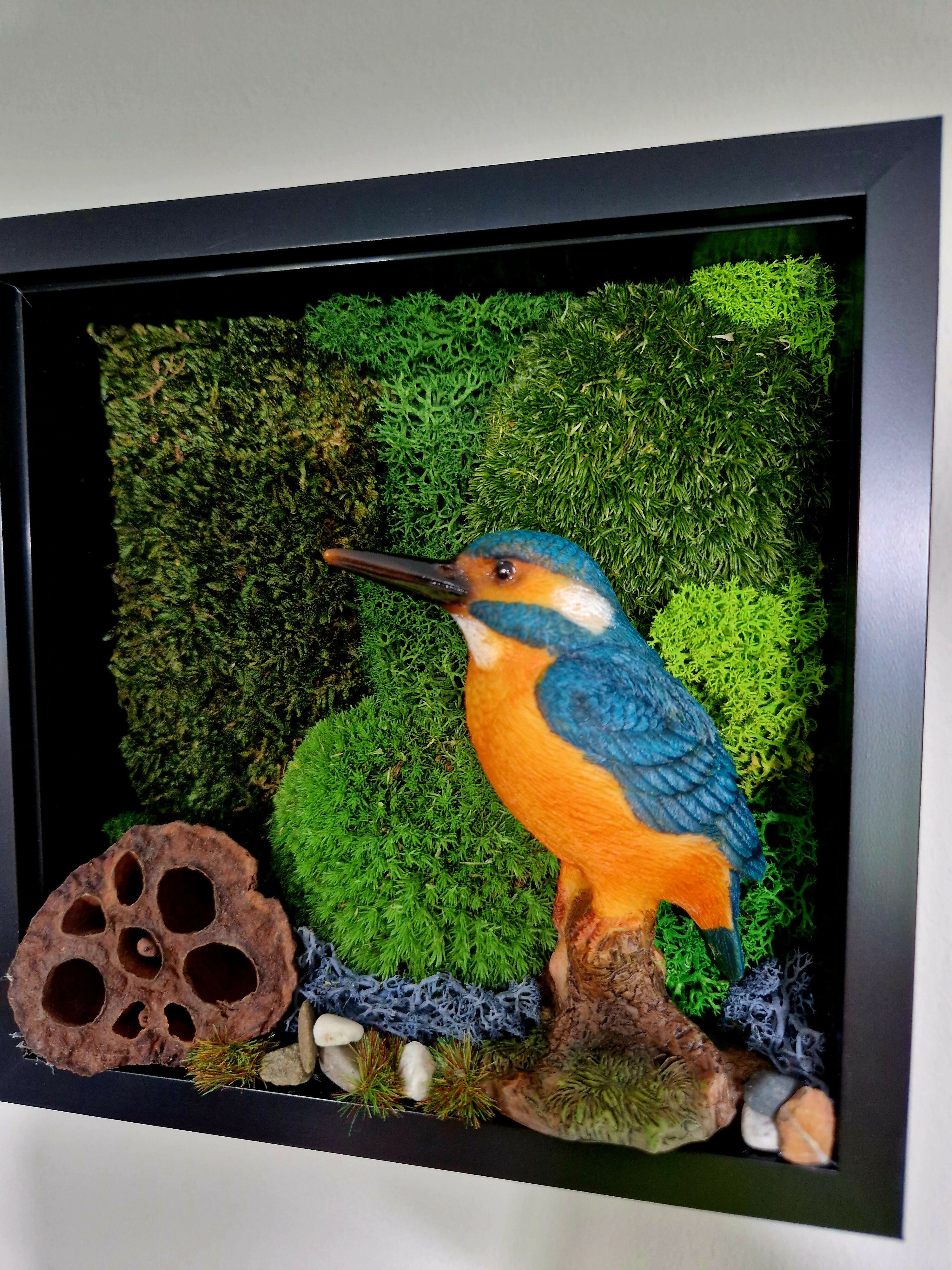 Kingfisher