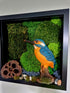 Kingfisher
