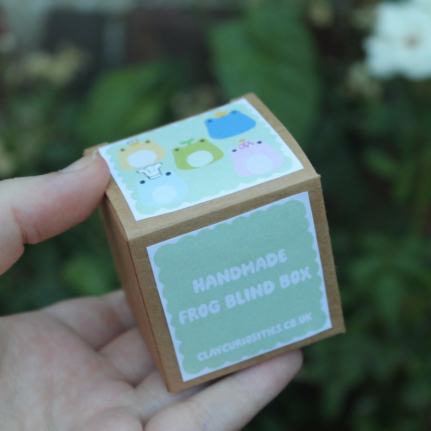 Handmade Polymer Clay Frog Blind Box