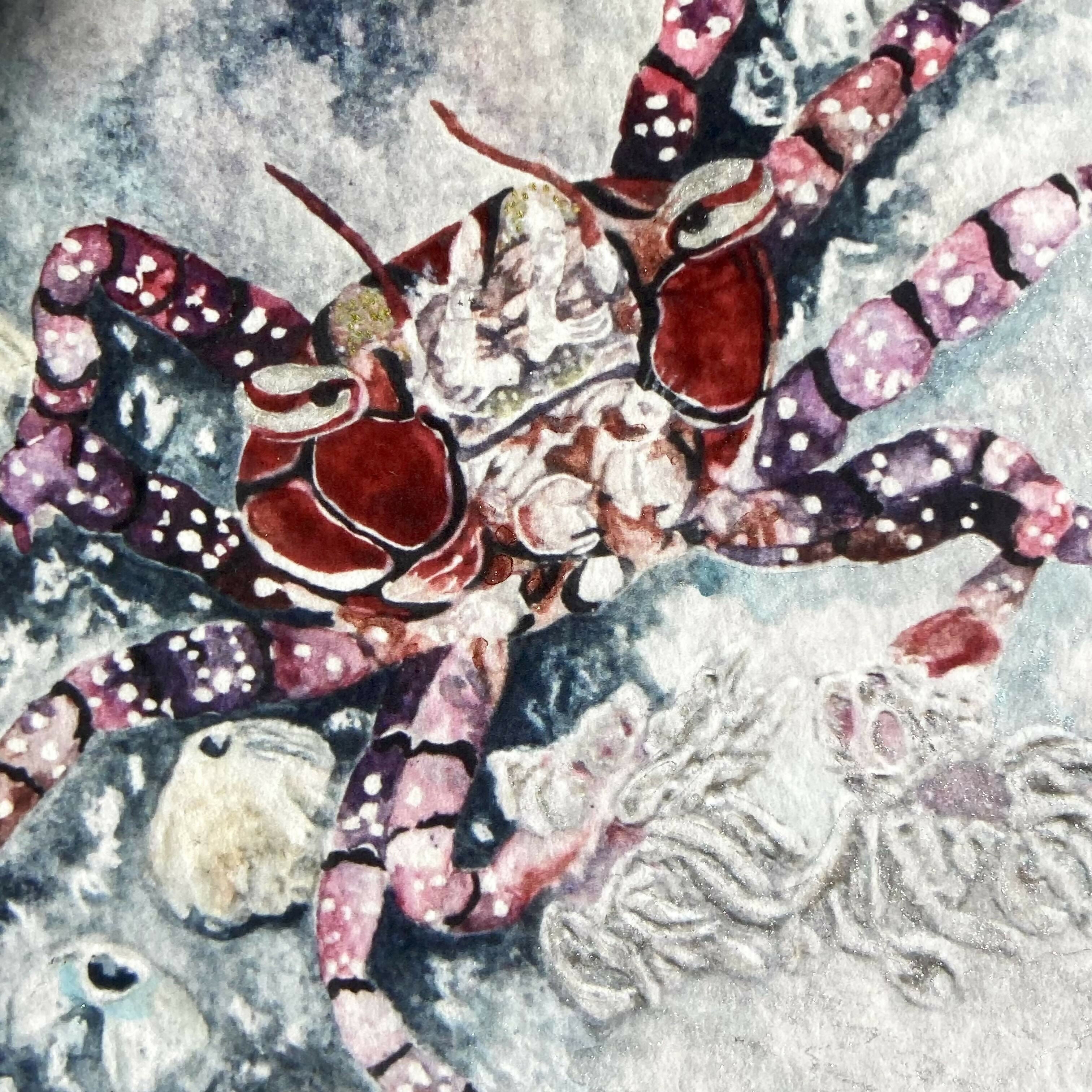 Boxer Crab - Print