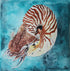 Nautilus - Original Watercolour Painting