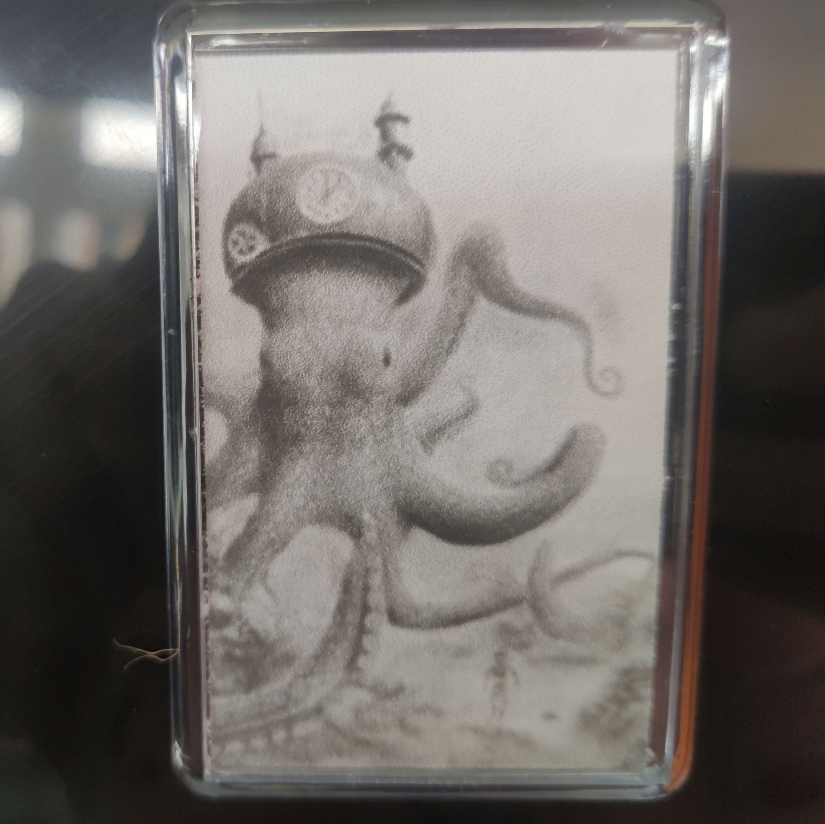 1000053923