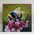 Bee Among the Petals - Original Acrylic Painting