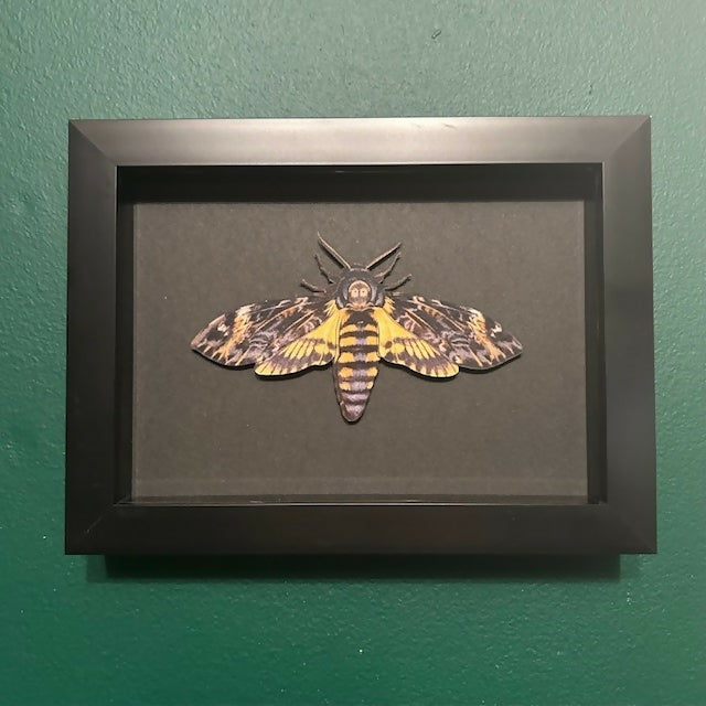 Lovely Faux Paper Death's-head Hawkmoth In A Black Box Frame