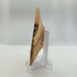 Hand Turned Natural Edged Winged Bowl made from Silver Birch Wood