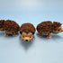 3D Printed SMALL: Articulated Sensory Fidget Animal friends Hedgehog 6.5cm