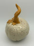 Speckled Pumpkin