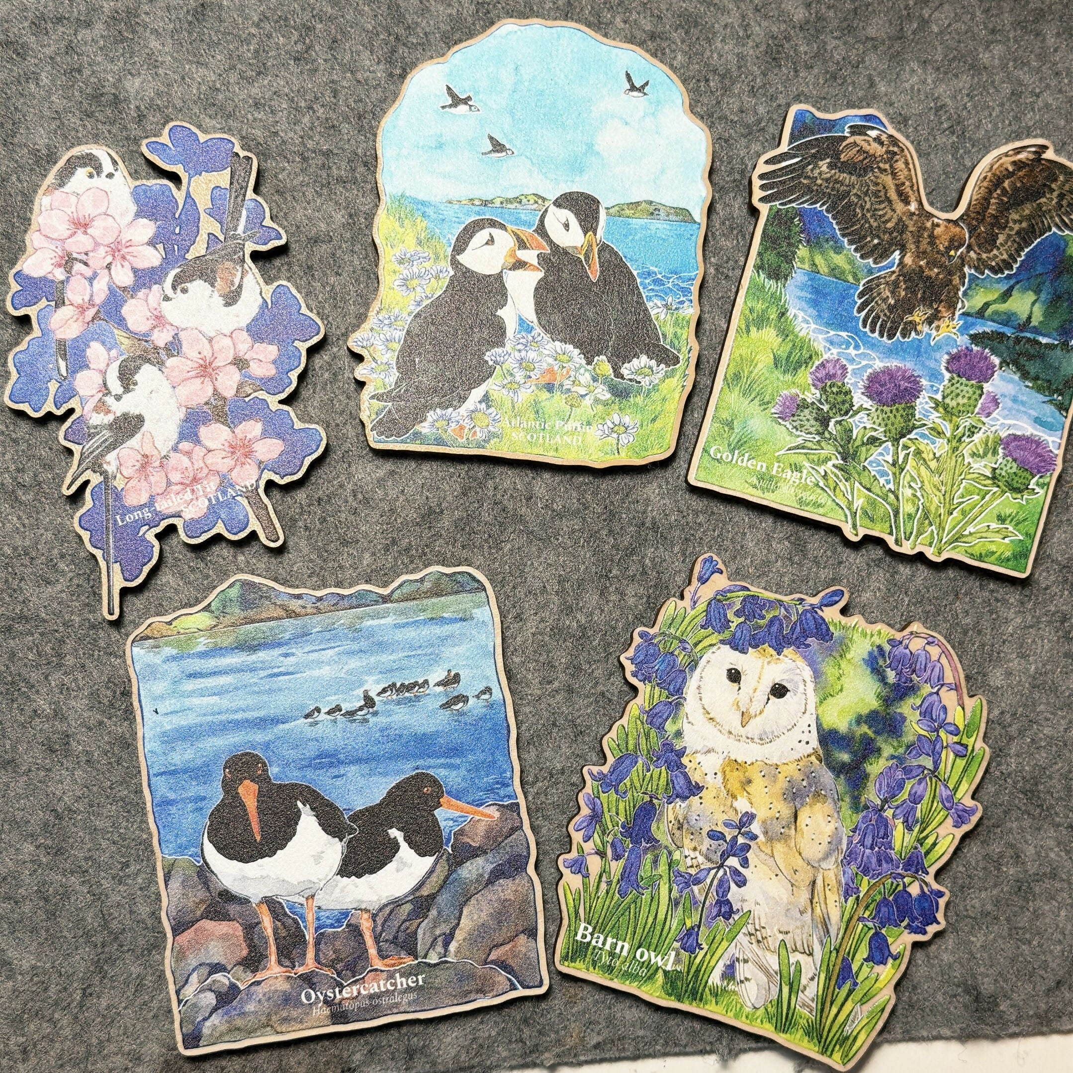Wooden Magnets-Wild BIRDS PUFFIN,BARN OWL,LTT,GOLDEN EAGLE,OYSTERCATCHER