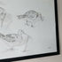 Redshank Sketches - A3 Original Framed