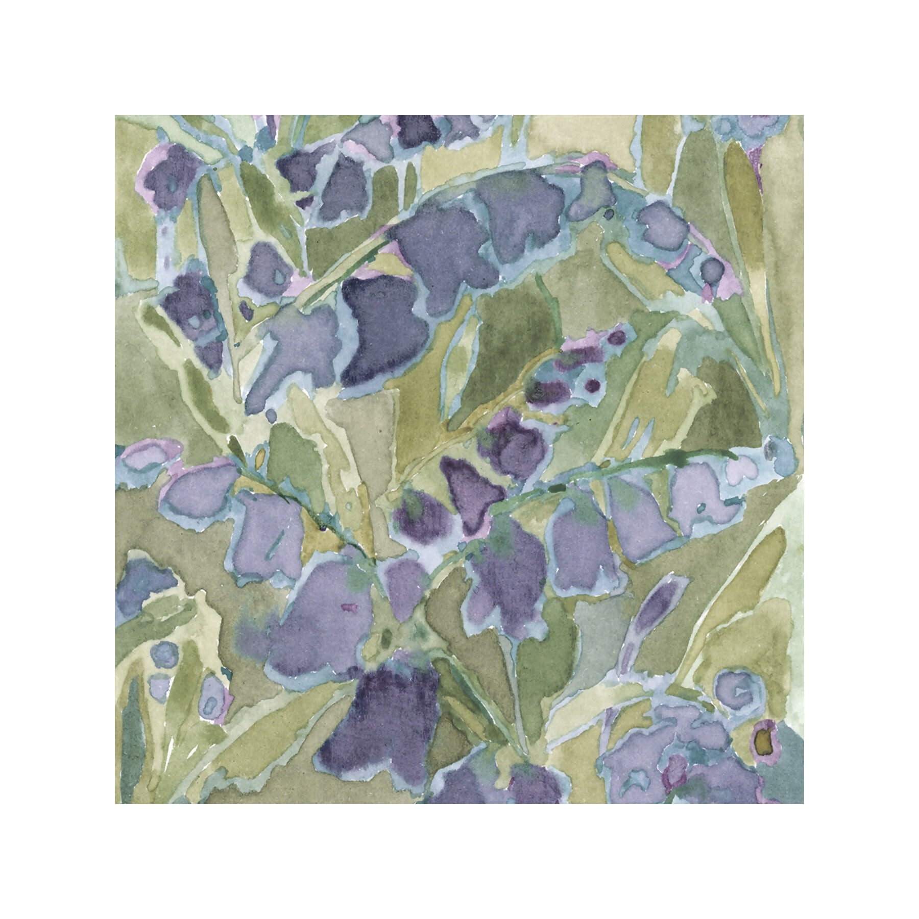 'Bluebells' 6x6 Giclée Print