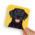 Labrador Black Dog Coaster