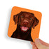 Labrador Dark Brown Dog Coaster