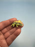 3D Printed Micro Miniatures: Articulated Sensory Fidget Animal friends Manatee, Skunk, Hedgehog, Spider, Capybara, Crab, Sloths and Dinosaur 3-5cm