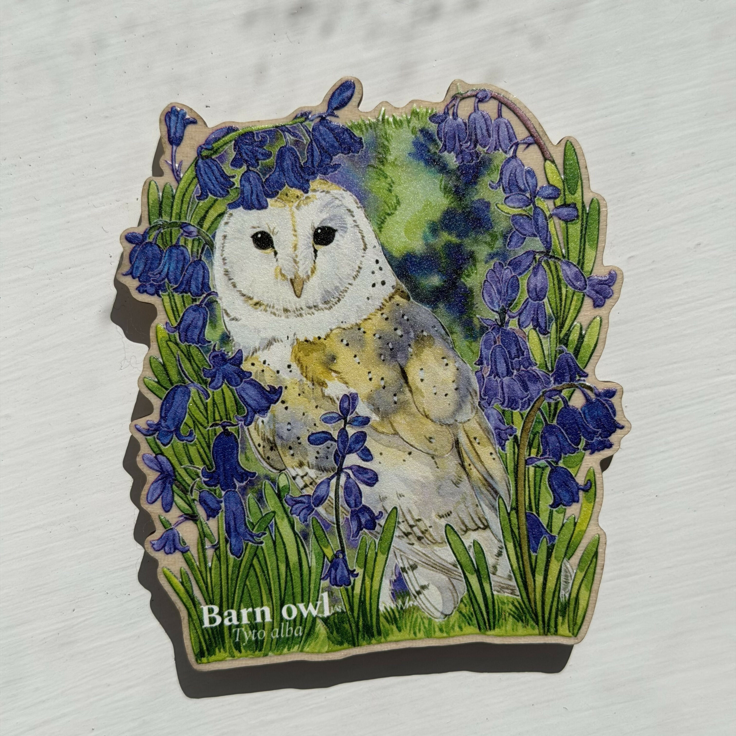 Wooden Magnets-Wild BIRDS PUFFIN,BARN OWL,LTT,GOLDEN EAGLE,OYSTERCATCHER
