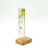 Blossom Branch Small Plinth