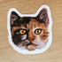 Cute Cat Face Vinyl Stickers