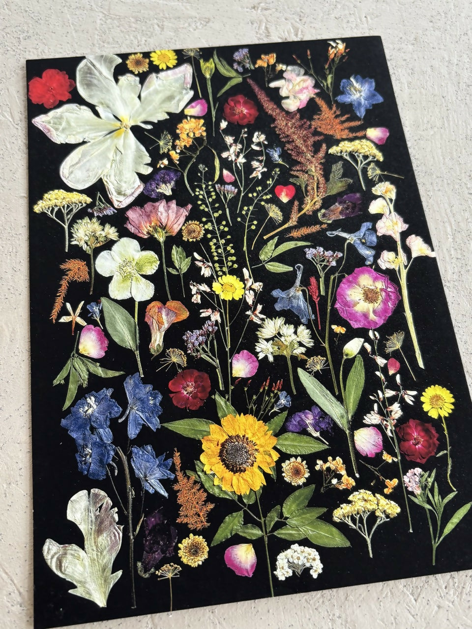 Black Multicoloured Giclee Print A5