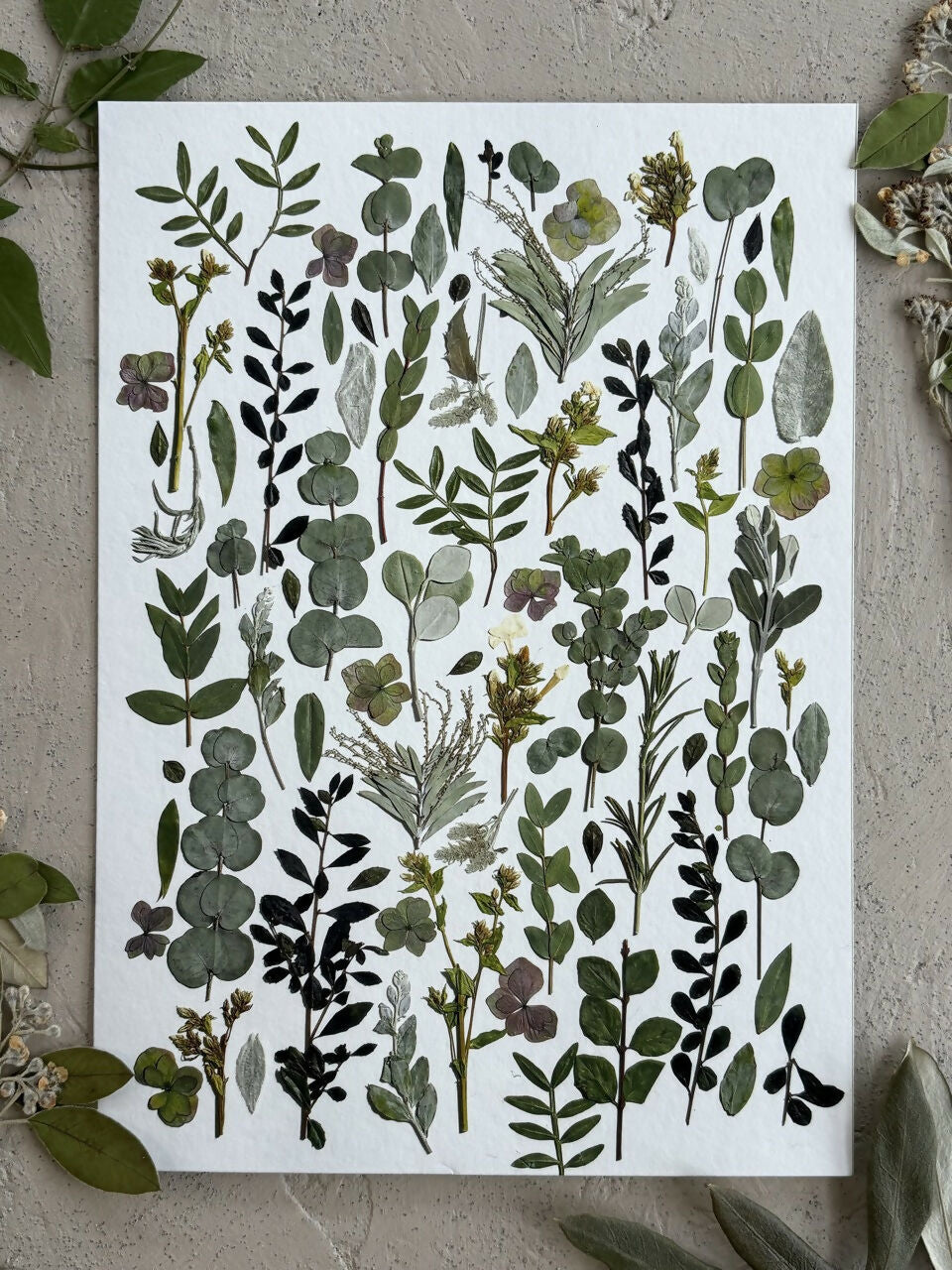 Green Leaves Giclee Print A5