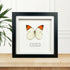 Giant Orange Tip (Hebomoia glaucippe) Handmade Box Frame