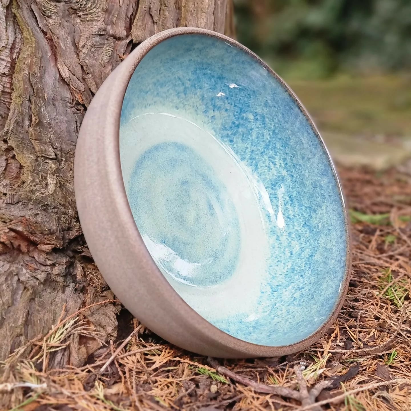 Turquoise fruit dish 1