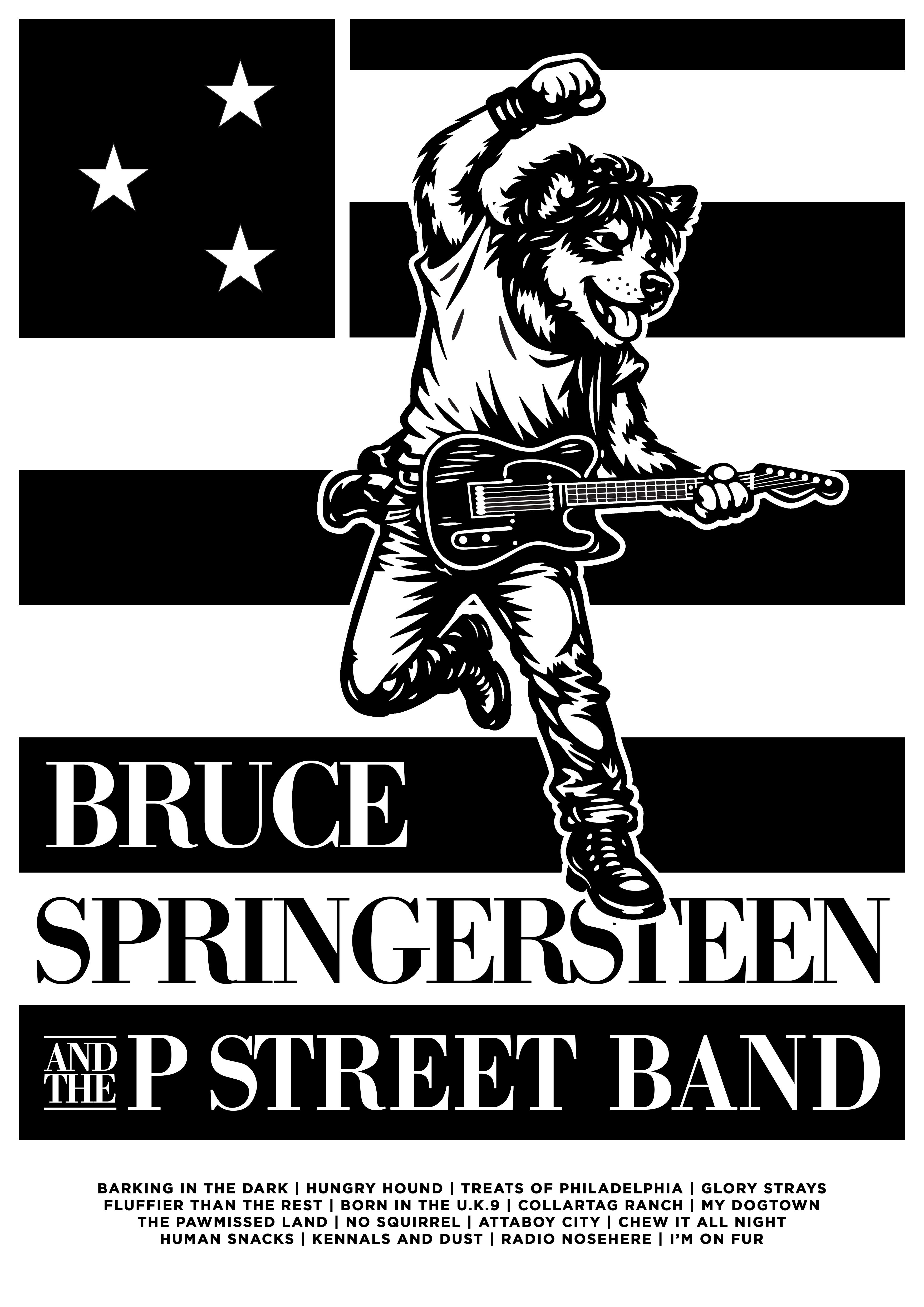 Bruce Springersteen ( A3 Print )