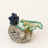 Porcelain Sea Slug On Rock