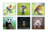 CUTE ANIMAL FRAMED PRINT 7x5in