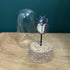 Antique Inspired Beetle Dome