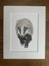 Badger 1