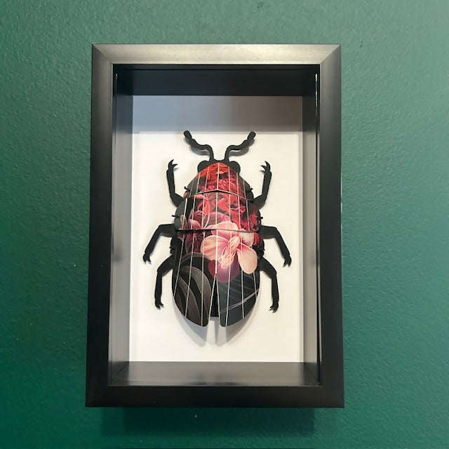 3D Red & Black Floral Paper Beetle In A Deep Black Box Frame