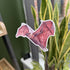 Bewitching Bats - Gloss Sticker Pack