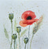 'Corn Poppy' Original Mixed Media Painting