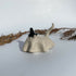 Handmade Ceramic Cat Ghost With Witches Hat