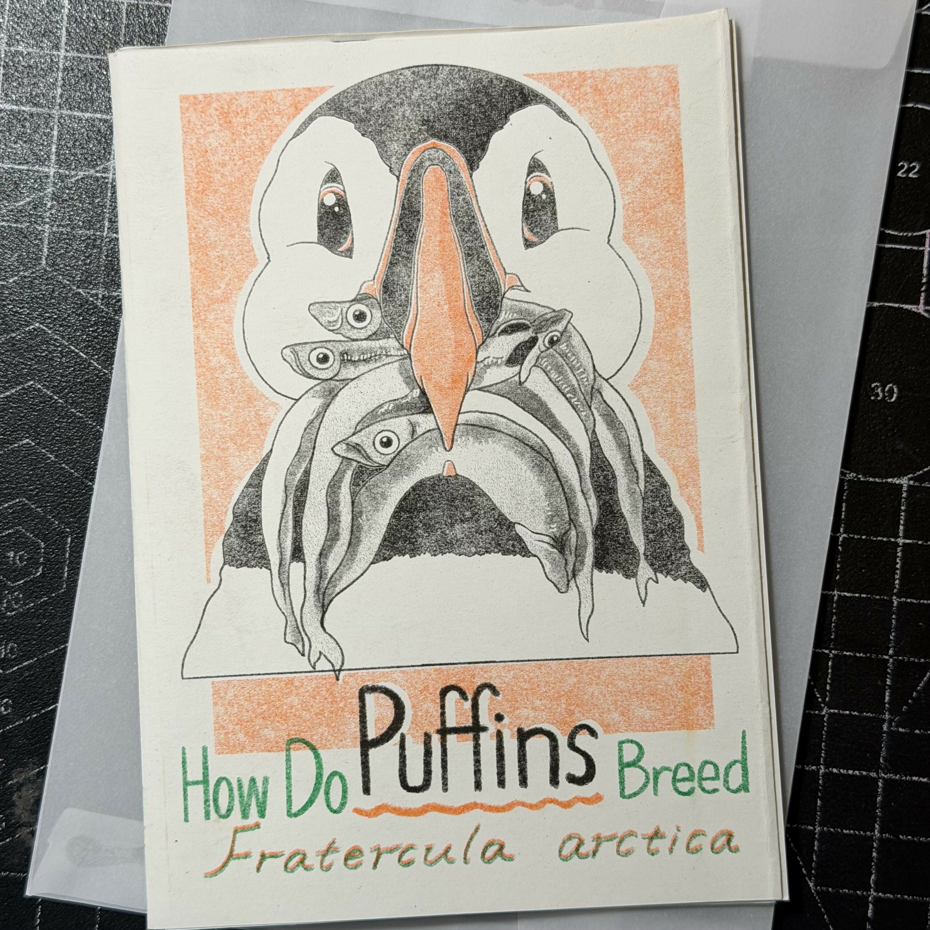 Riso Puffin Zine