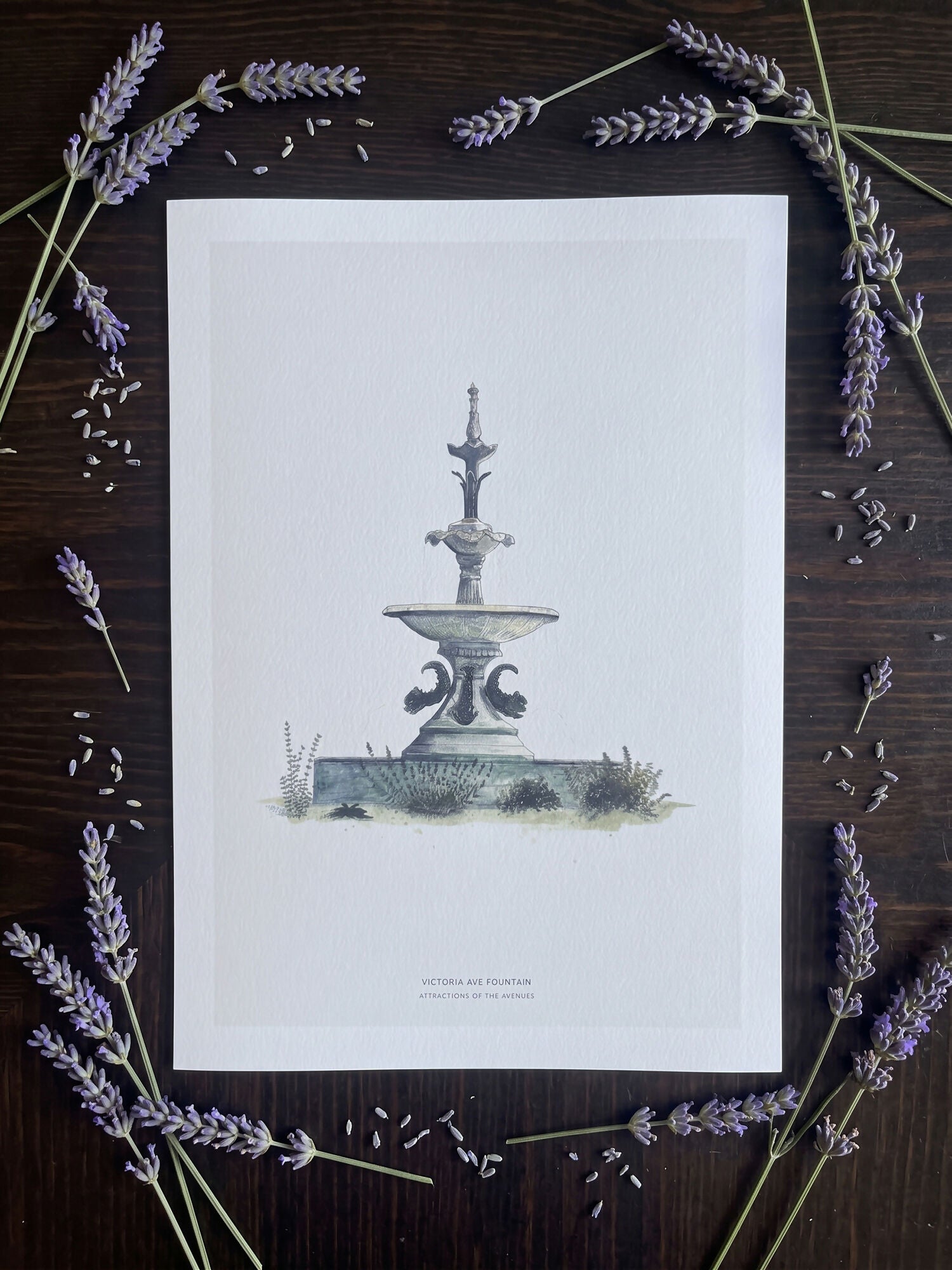 Hull Attractions of the Avenues Watercolour Print A4 / Victoria Ave Fountain