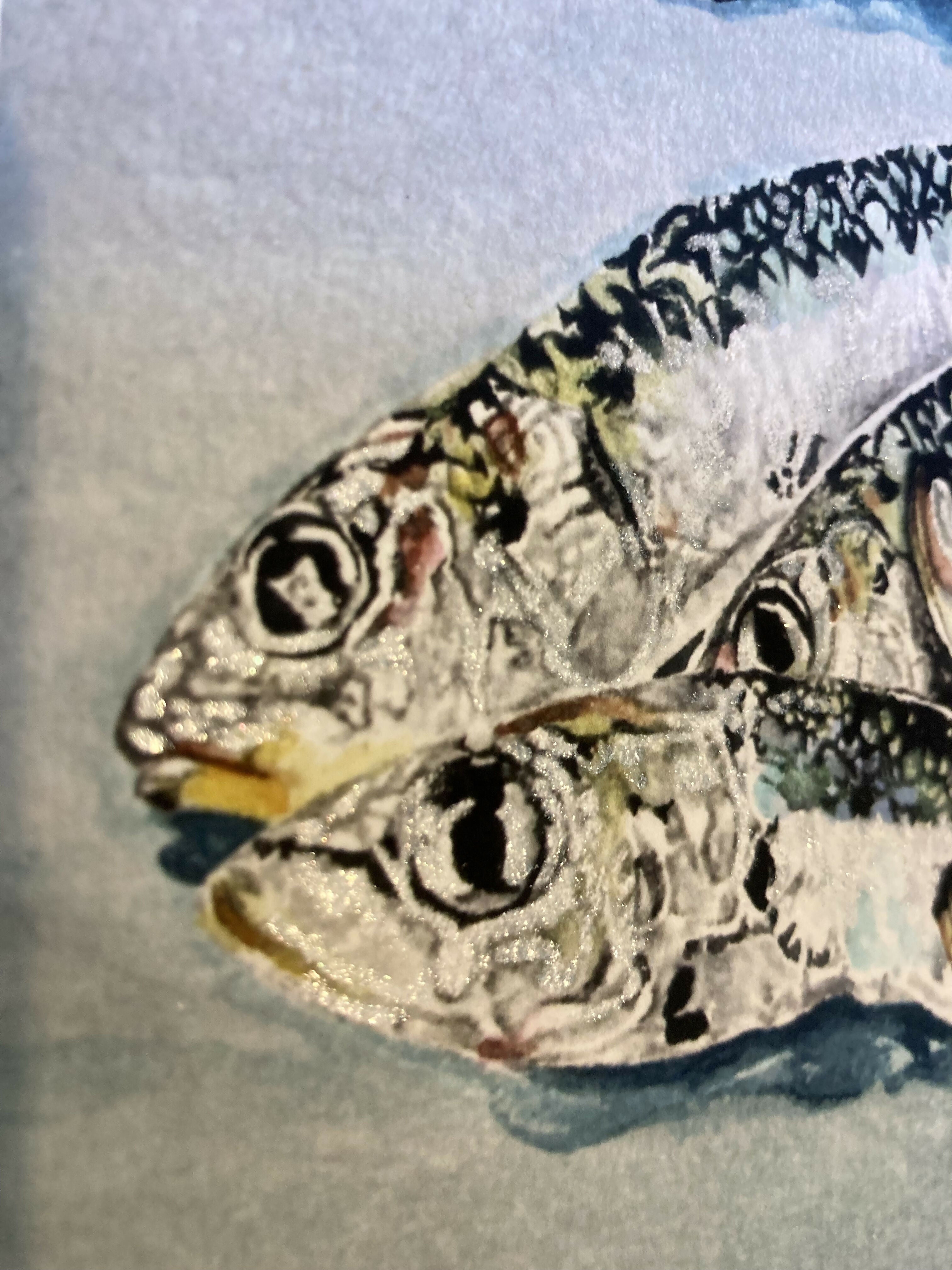 Sardines - Hand Finished Print