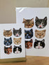 Six Cats Art Print: Tabby, Tortie, Tuxedo Cat Faces