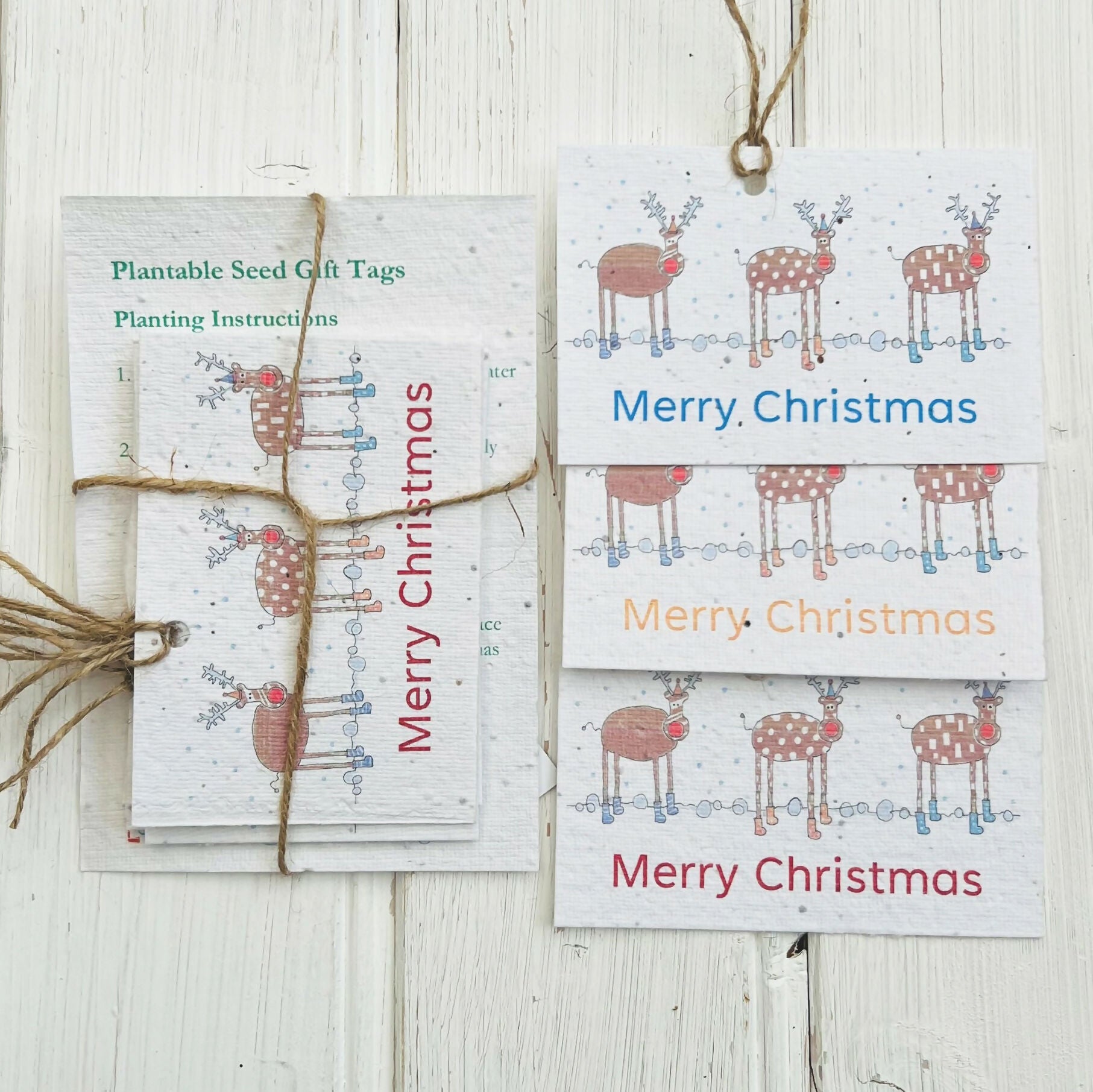Set of 6 Christmas Seed Gift Tags - 'Friendly Reindeer' design