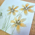'Acidanthera & Snowdrop' Original Mixed Media Painting