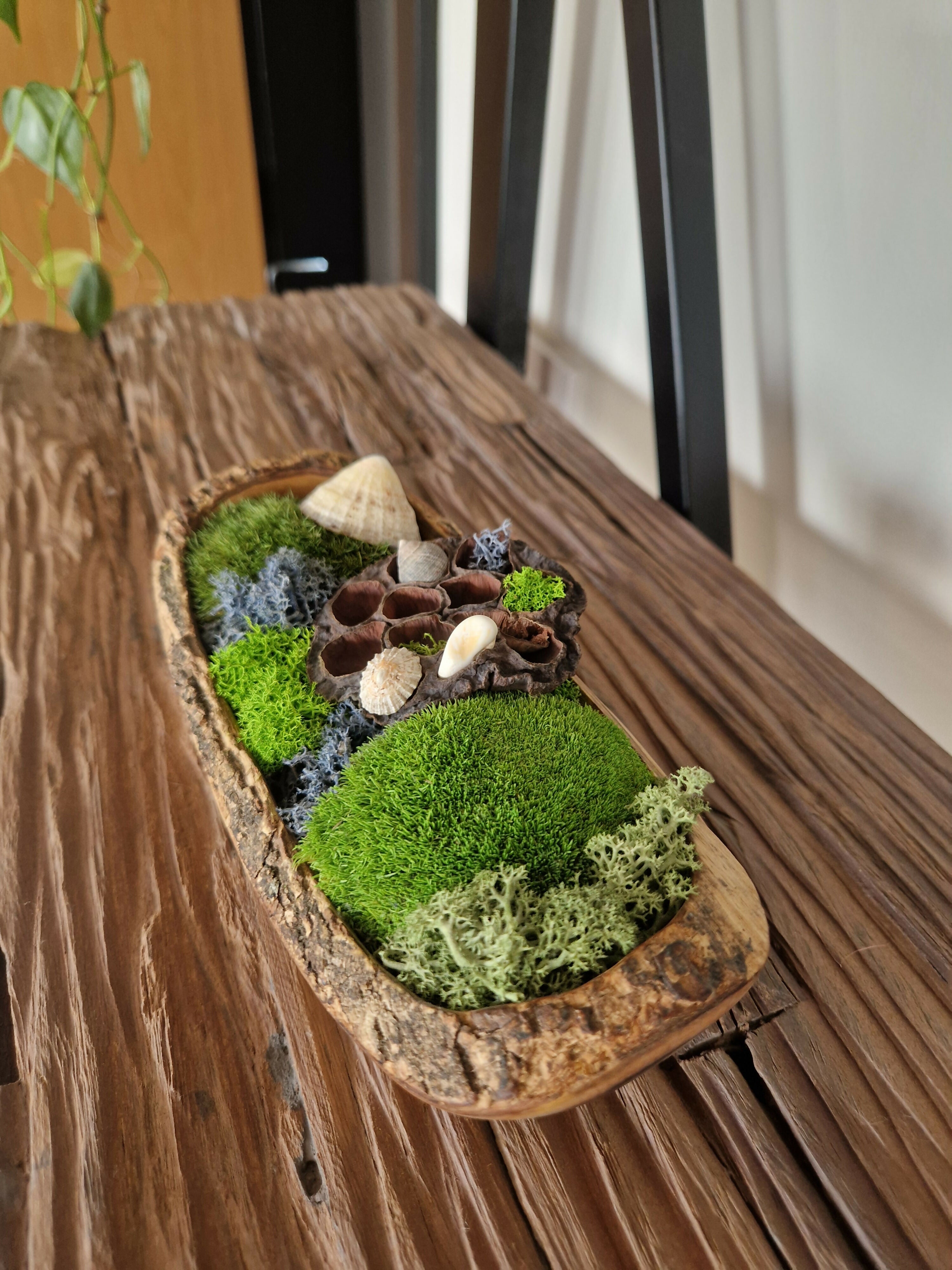 Coral Reef Teak Bowl