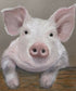 CUTE ANIMAL COASTERS