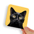 Black Cat Yellow Eyes Coaster