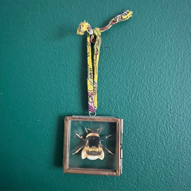 Lovey Faux Paper Bee In A Mini Antique Inspired Frame