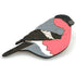 Bullfinch Brooch