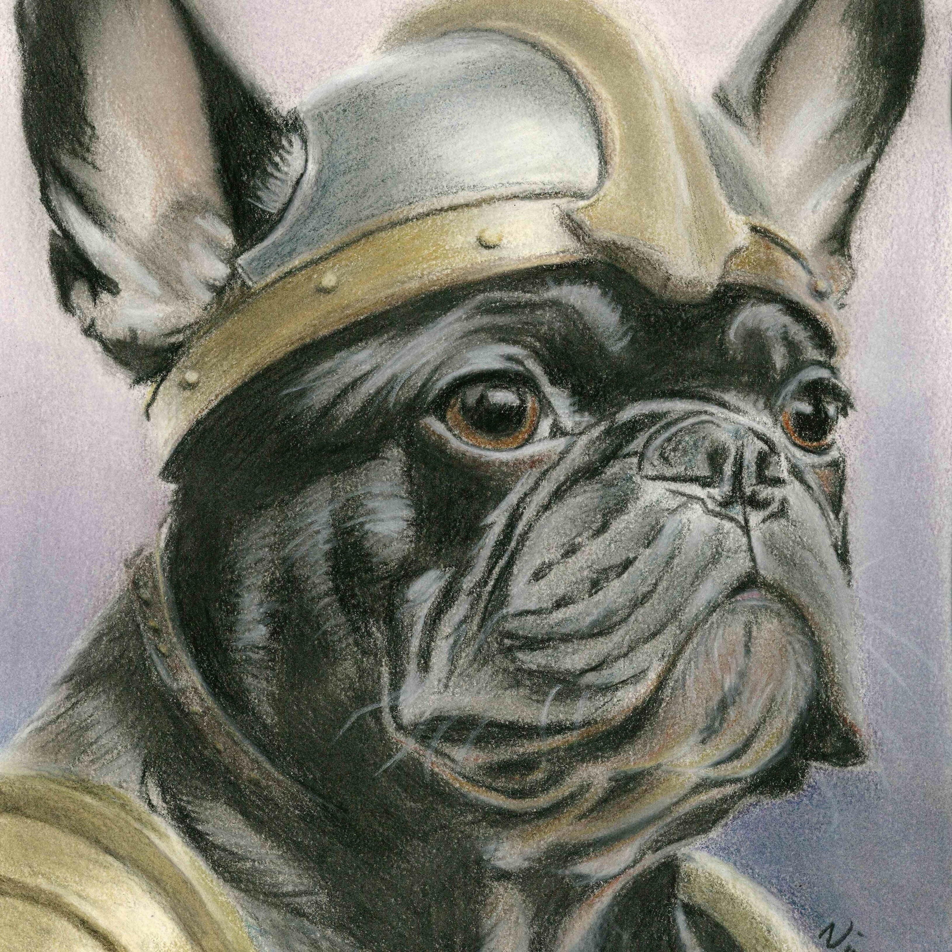 frenchie square