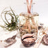 Coast Luxury Botanical Ocean Diffuser (200ml)